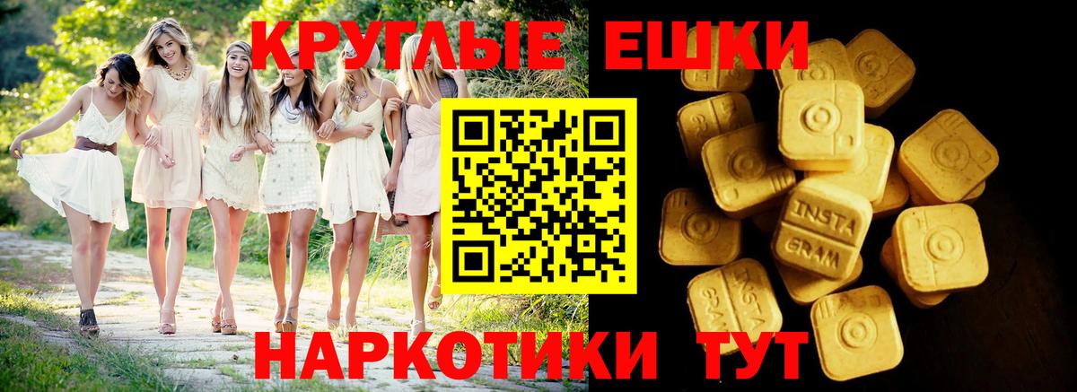 Ecstasy Philipp Plein Ноябрьск
