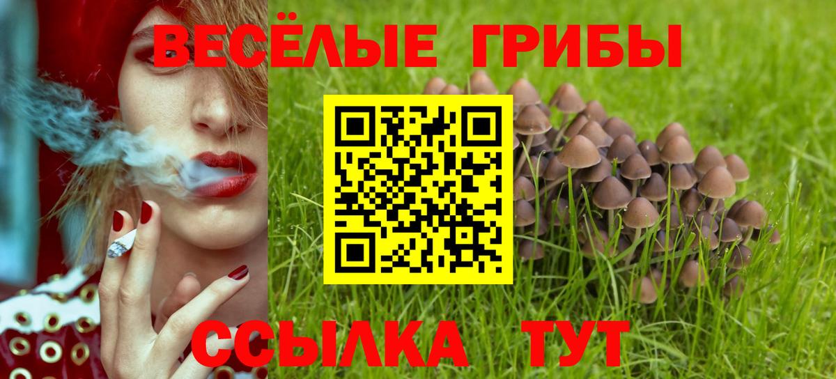 Галлюциногенные грибы мицелий Ноябрьск
