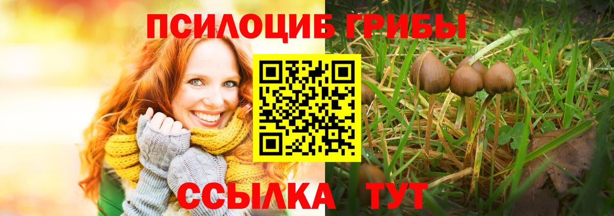 Галлюциногенные грибы Psilocybe  Вход с VPN  Галлюциногенные грибы Psilocybine cubensis  Ноябрьск 